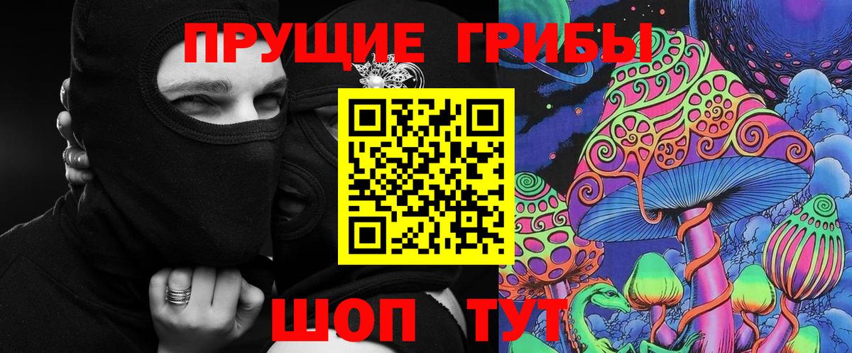 Галлюциногенные грибы Psilocybe Беслан